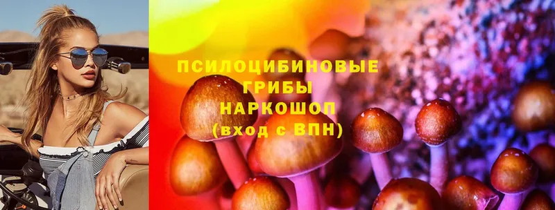 KRAKEN ссылка  Боготол  Галлюциногенные грибы Psilocybine cubensis  даркнет сайт 